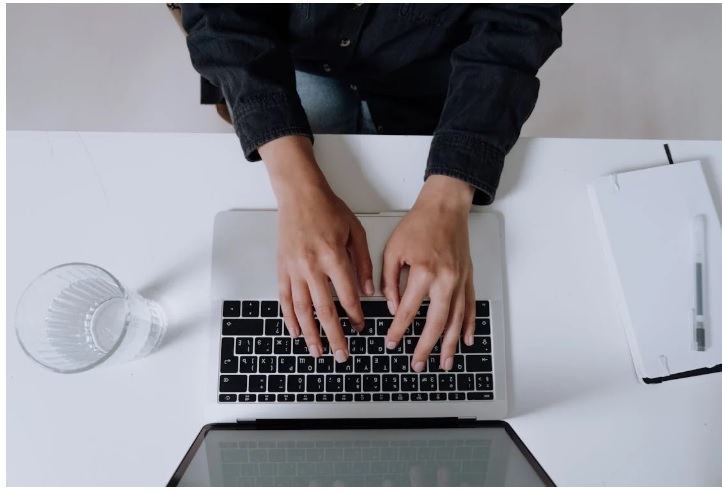 Wordpress Developer