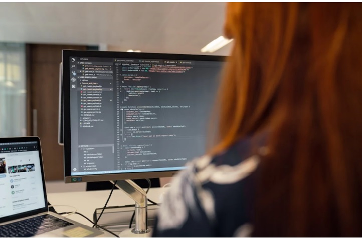 Wordpress Developer